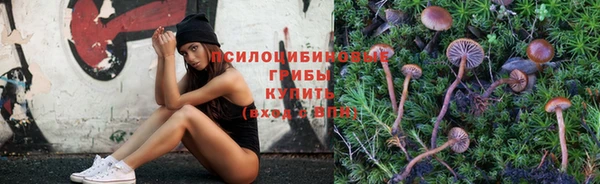 прущий лед Верея