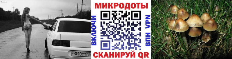 Купить закладки  Приволжский  Псилоцибиновые грибы мицелий 